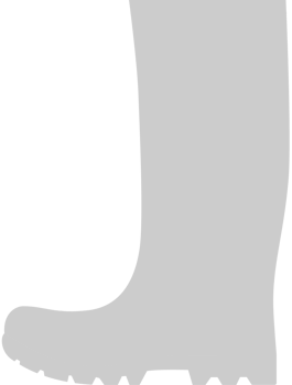 Shoes Fashion vector