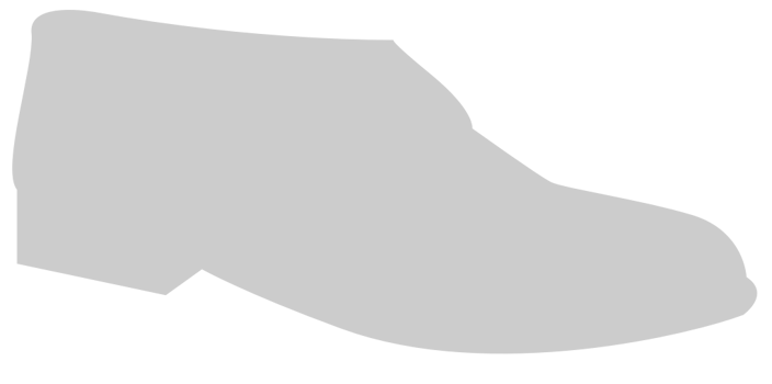 Shoes Fashion vector
