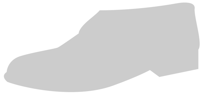 Shoes Fashion vector