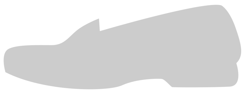 Shoes Fashion vector
