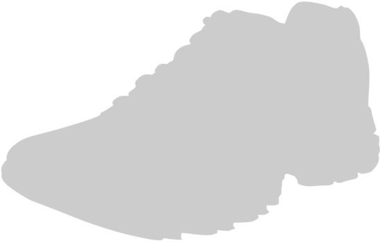 Shoes Fashion vector