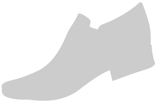 Shoes Fashion vector