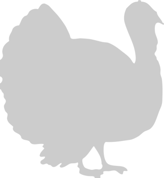 Thanksgiving vector