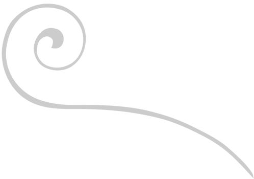 Swirl line art vector