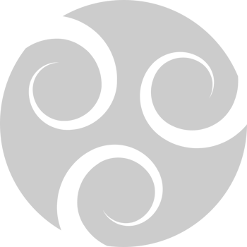 Swirl logo vector