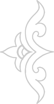 Swirl  vector