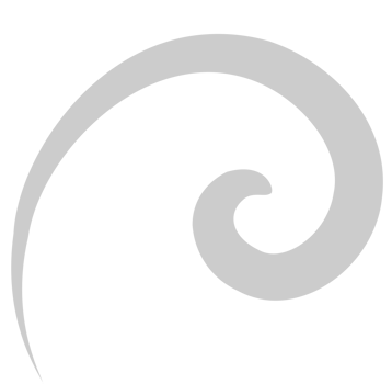 Swirl  vector