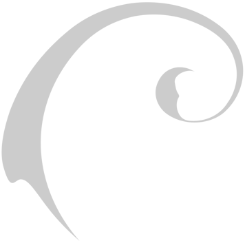 Swirl  vector