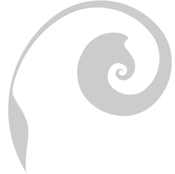 Swirl  vector