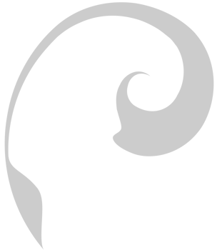 Swirl  vector