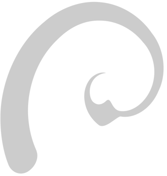 Swirl  vector