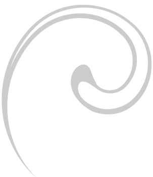 Swirl  vector