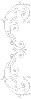 Swirl  vector