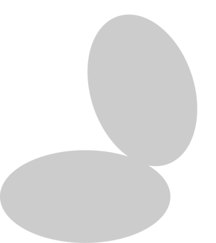 Accessories vector