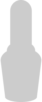 Accessories vector