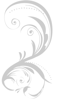 Swirl floral vector