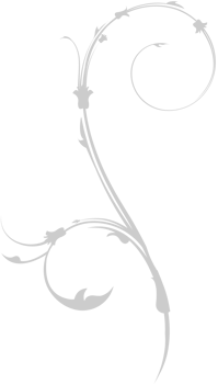 Swirl flower vector