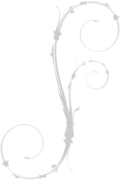 Swirl flower vector