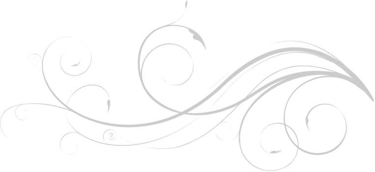 Swirl plant vector