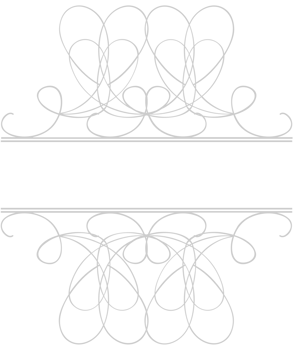 Swirl vector
