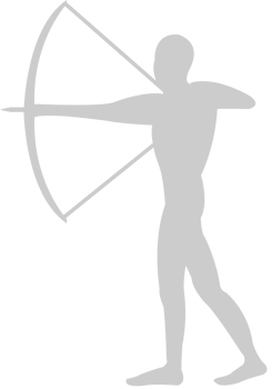 Archer vector