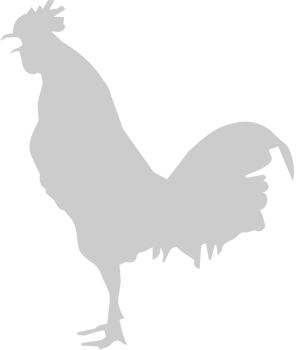 Silhouettes Rooster vector