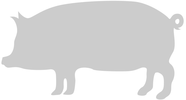 Silhouettes Pig vector