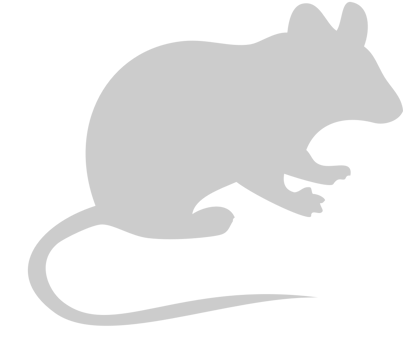 Silhouettes Mouse vector