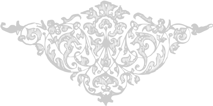 Designs Ornaments vector