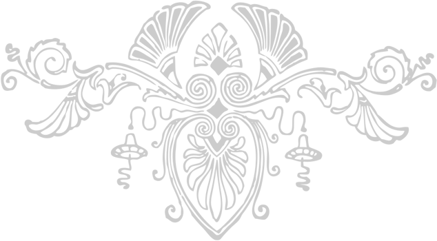 Designs Ornaments vector