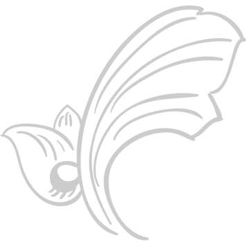 Designs Ornament vector