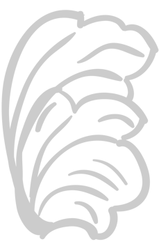 Designs Ornament vector
