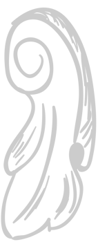 Designs Ornament vector