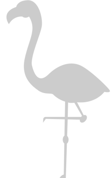 Flamingo vector