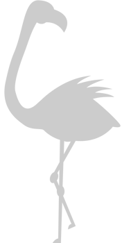 Flamingo vector