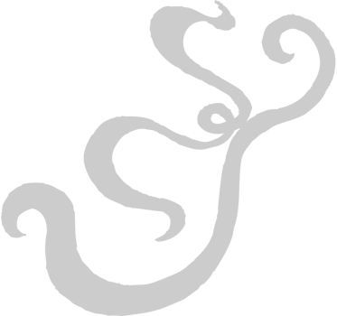 Scribble vector