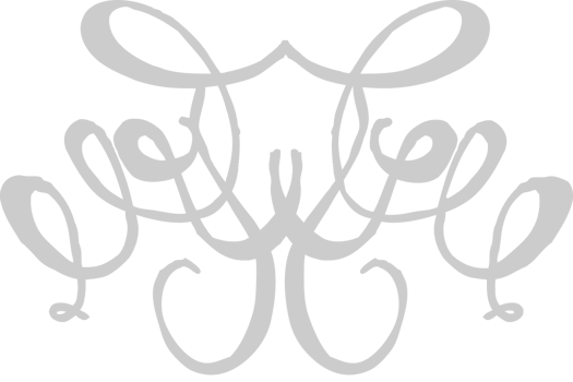 Scribble vector