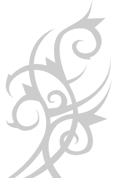 Tribal vector