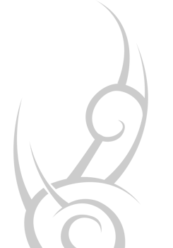 Tribal vector