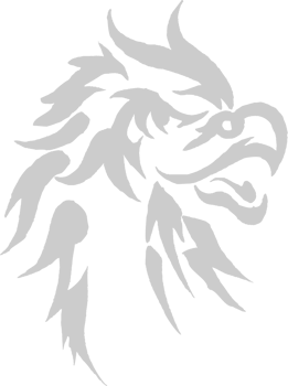 Tribal tattoo eagle head vector