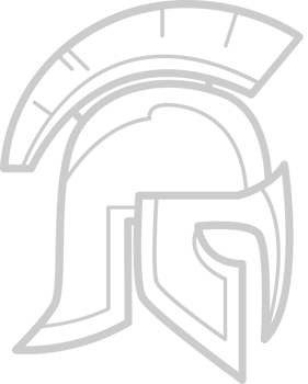 Helmet vector