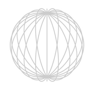 Globe vector