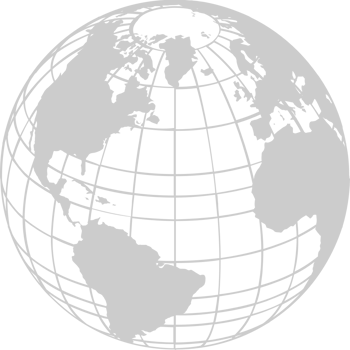 Grid Globe Map vector