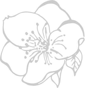 Flowers vector