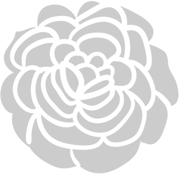 Carnation Flower vector