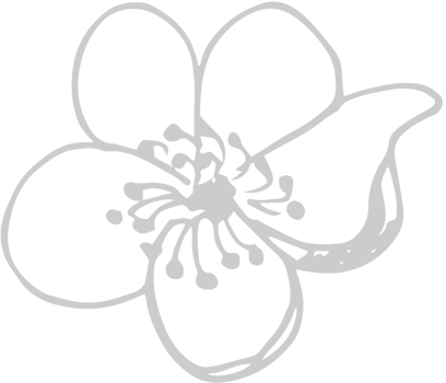 Flowers vector