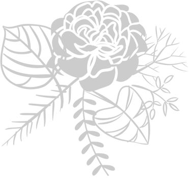 Carnation Flower vector