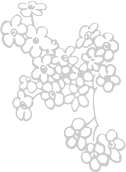 Flowers vector