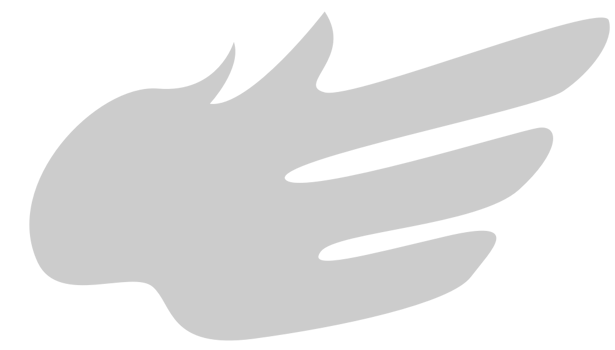 Wing  vector