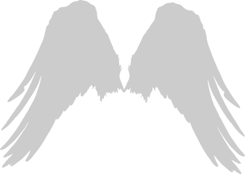 Wings vector